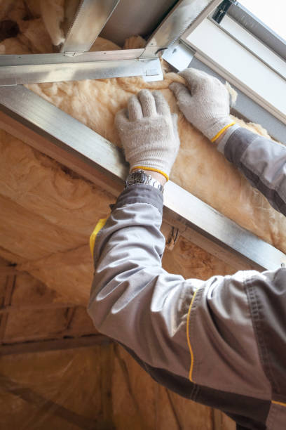 Best Insulation Contractor Near Me  in Chicago, IL