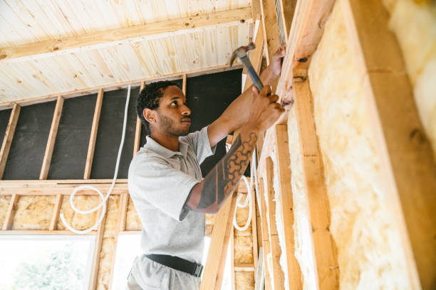 Best Residential Insulation Services  in Chicago, IL