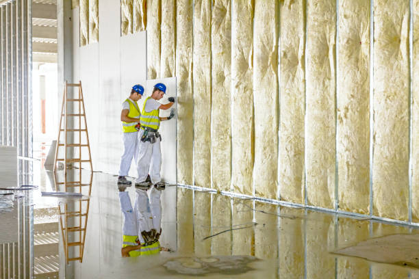 Insulation Repair Services in Chicago, IL